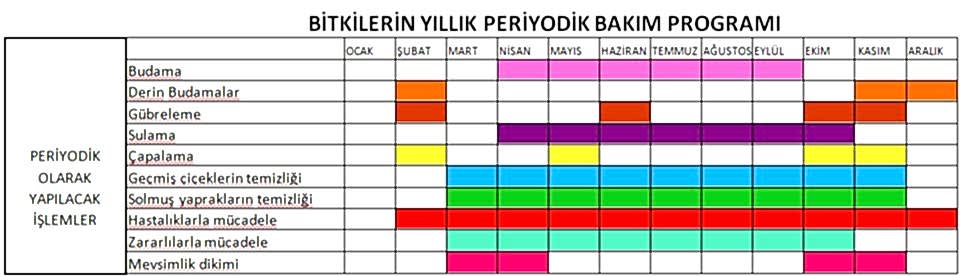 Bitki Bakım Takvimi